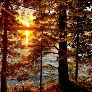 Meet your Posher, Jen.